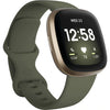 Fitbit Versa 3 (Olive/Soft Gold) FB511GLOL